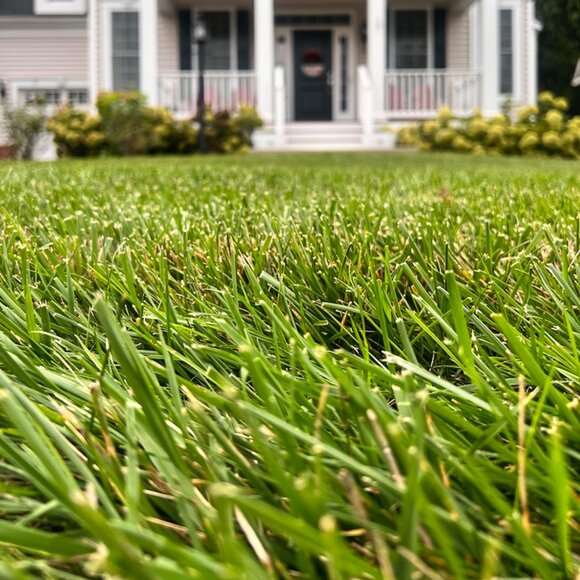 Meet your Posher, Summer - Picture 1 of 1